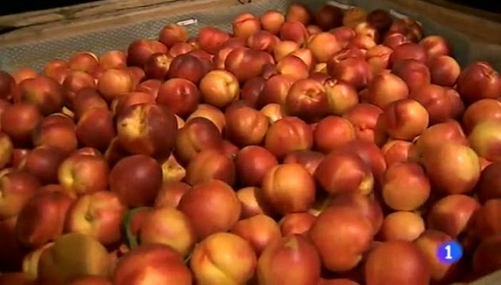 Noticias Aragón - Noticias Aragón-13/08/14