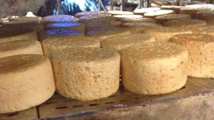 Aquí la Tierra - ¿Qué es eso? ¡Éso es un riquísimo queso!