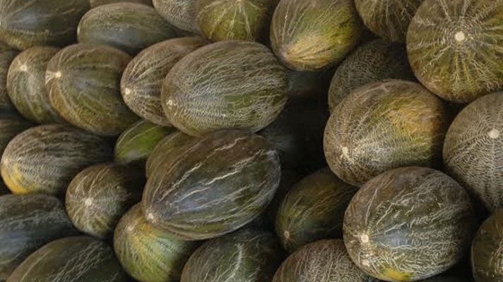 Aquí la Tierra - Corazón de melón