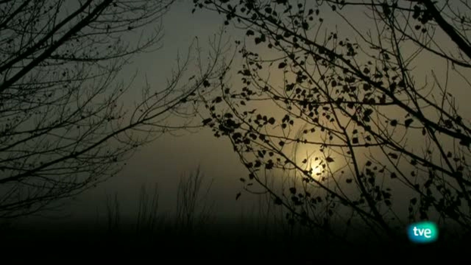 Comarca del Arlanza: La épica de un pueblo - ver ahora