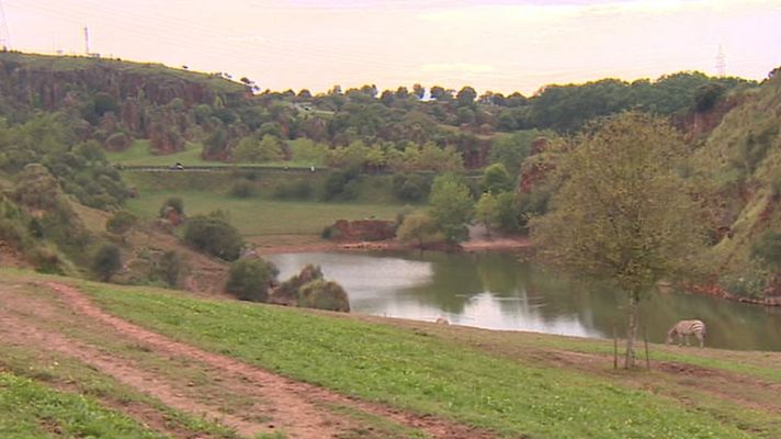 Telediario 1 - Record de visitantes en el parque de Cabárceno en Cantabria