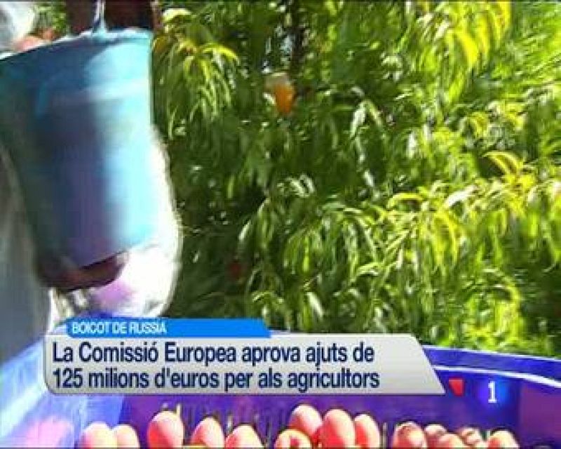 L'informatiu en 3' - 18/08/2014