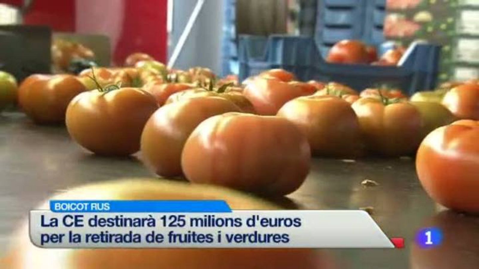 L'informatiu 2 - 18/08/2014