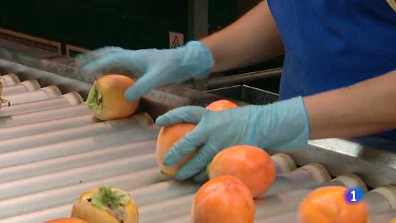 La Comunidad Valenciana en 2' - 19/08/14 - Ver ahora