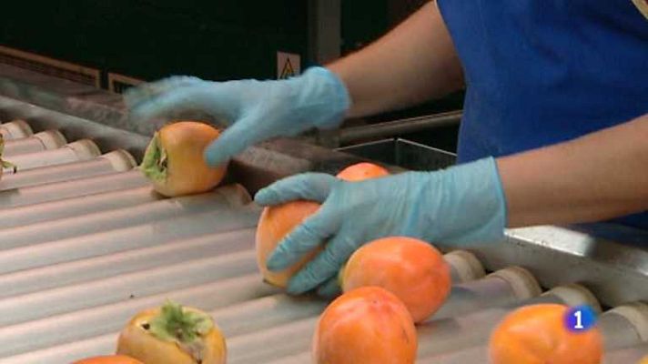 L'informatiu - Comunitat Valenciana - La Comunidad Valenciana en 2' - 19/08/14