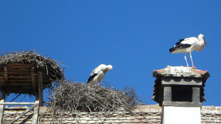 Informativo de Madrid - Informativo de Madrid - 20/08/14