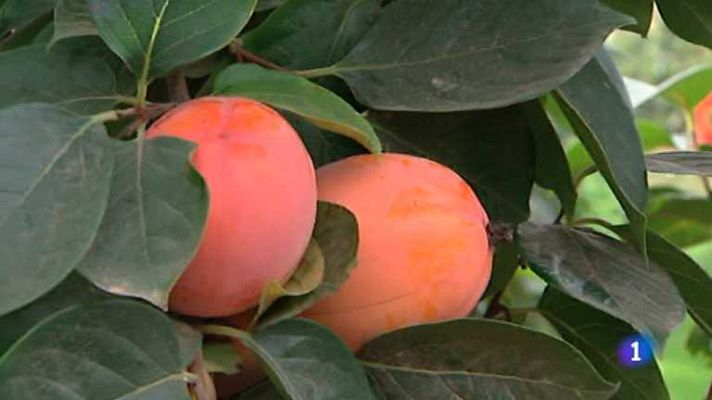 L'informatiu - Comunitat Valenciana - L'Informatiu - Comunitat Valenciana - 20/08/14