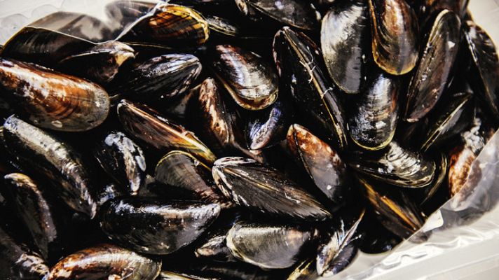 Telediario 1 - Marea roja cierra bateas de mejillón