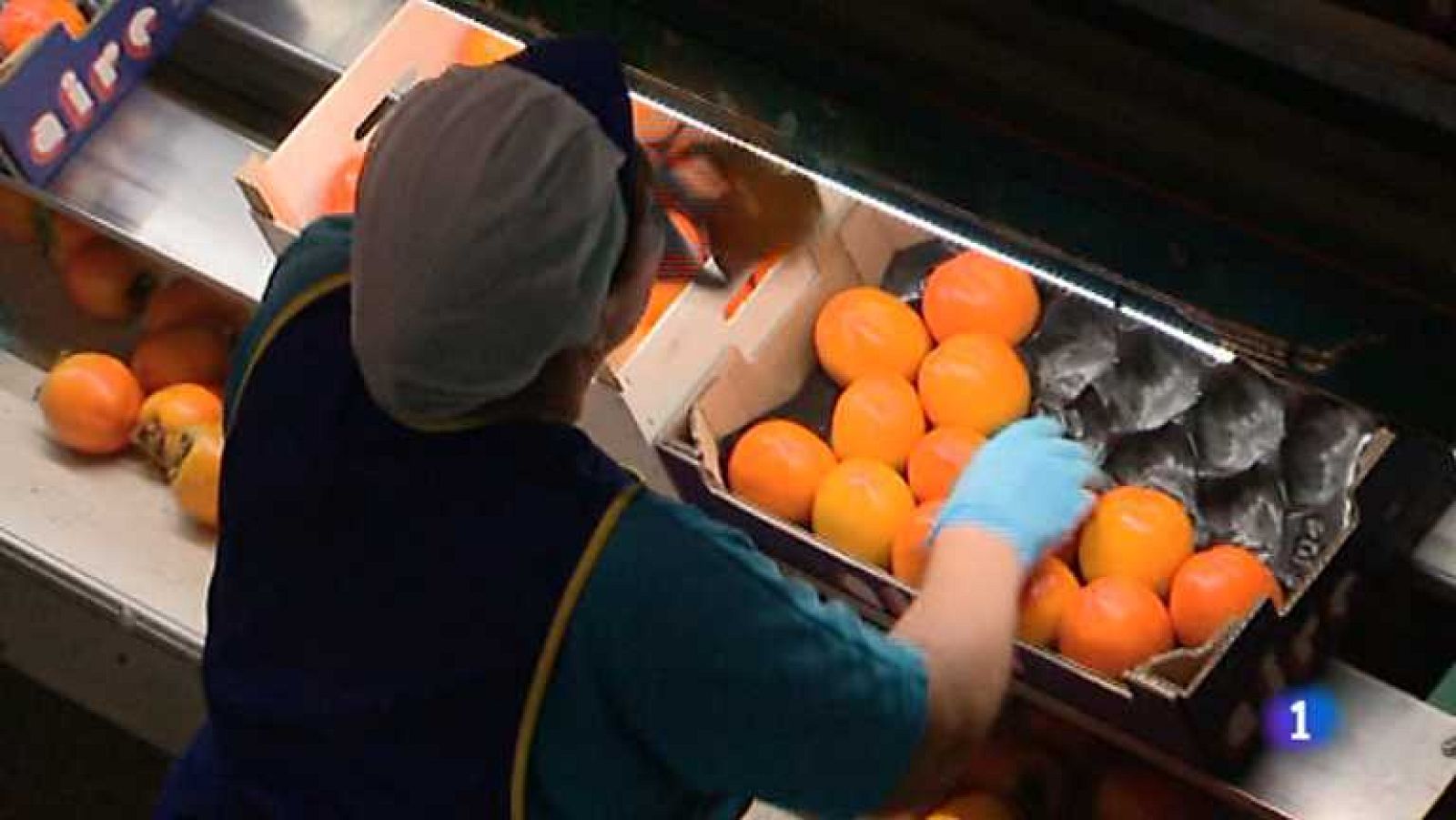 L'Informatiu - Comunitat Valenciana 2 - 20/08/14 - Ver ahora