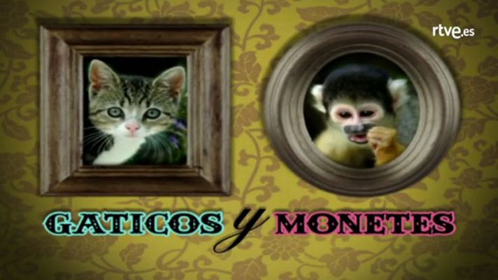 Cómo nos reímos - Tomas falsas de 'Muchachada Nui'