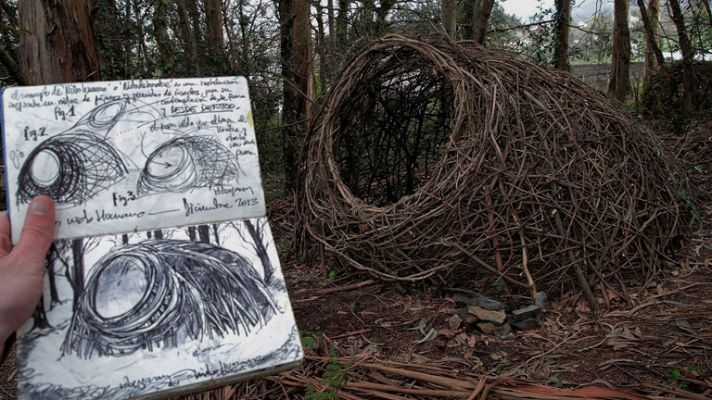 Aquí la Tierra - Un bosque con mucho arte