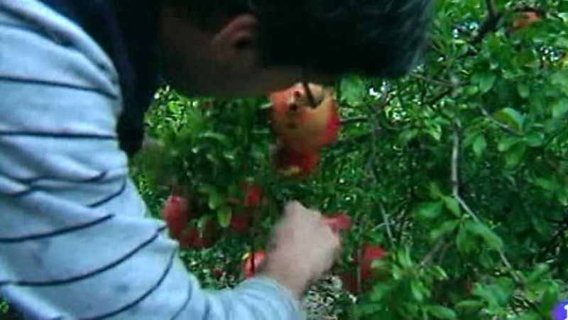 L'Informatiu - Comunitat Valenciana - 21/08/14 - Ver ahora