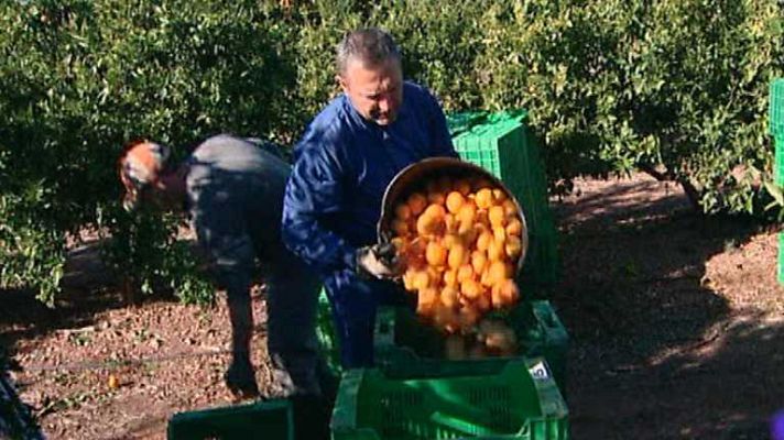 L'informatiu - Comunitat Valenciana - La Comunidad Valenciana en 2' - 21/08/14
