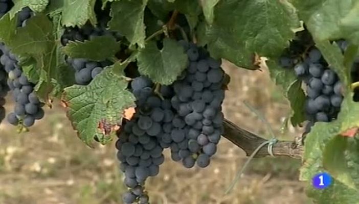 Noticias Aragón - Noticias Aragón-21/08/14