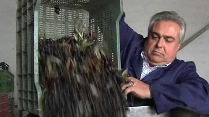 Emprende - Emprende - 21/08/14