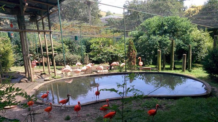 Aquí la Tierra - El zoo de Santillana: mi familia y otros animales