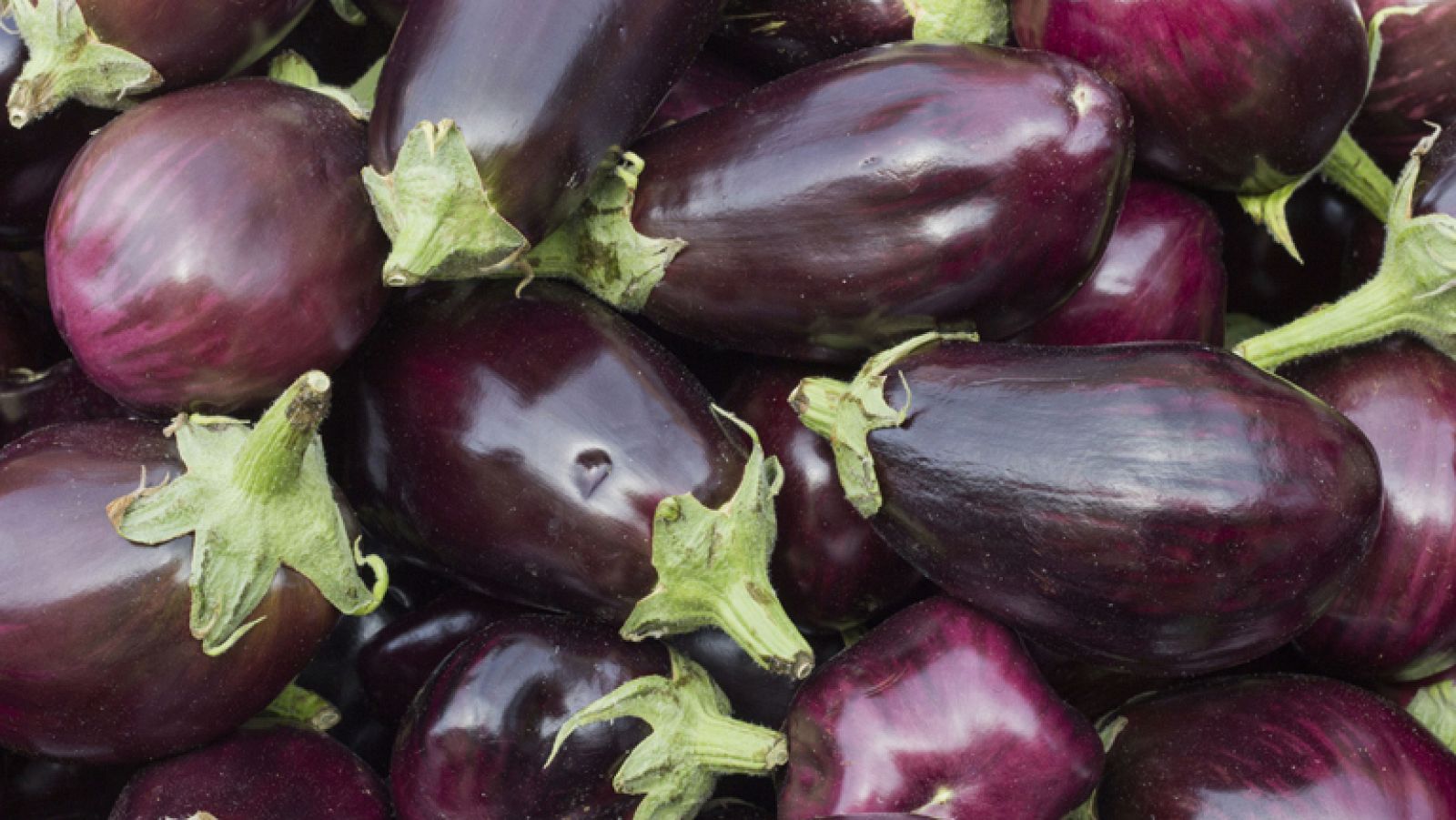 De la India a Almagro, el increíble viaje de las berenjenas