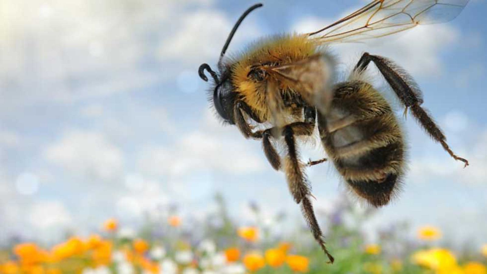 Docufilia - El universo invisible: Momentos mágicos - ver ahora