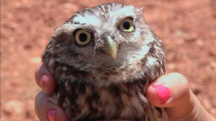 Aquí la Tierra - Los momentazos de los reporteros más dicharacheros