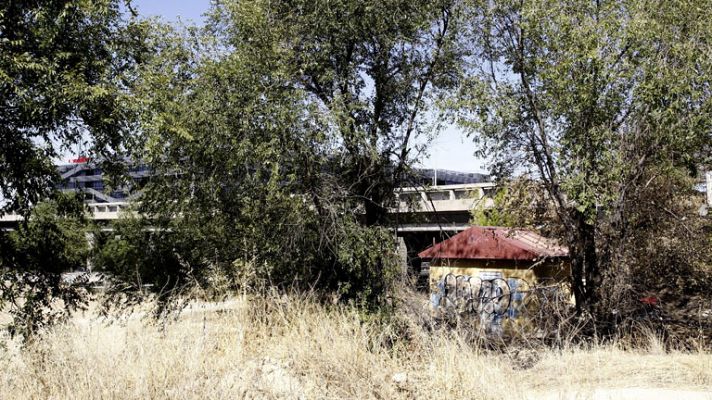 Telediario 1 - La policía busca al pederasta del noreste de Madrid