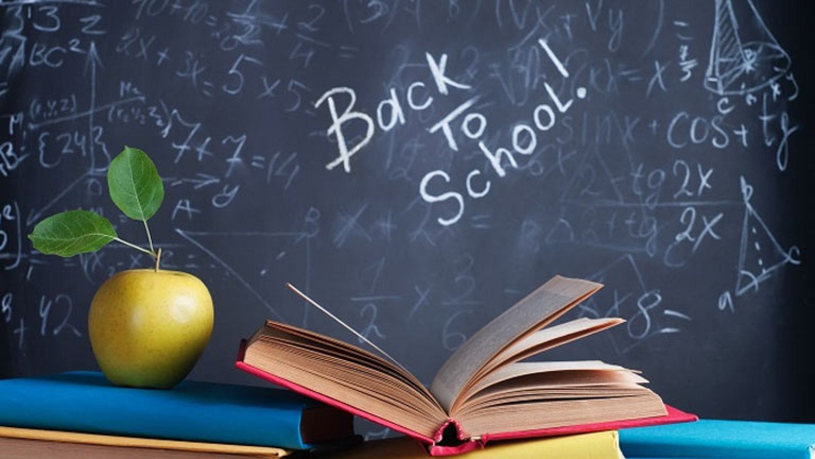 Bibliotecas, estudios, vuelta al cole y el gasto de los libros