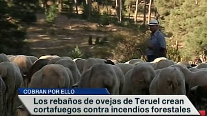 España en 24h - España en 24 horas - 28/08/14