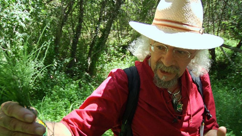 Aquí la Tierra- Plantas "mágicas" para la salud