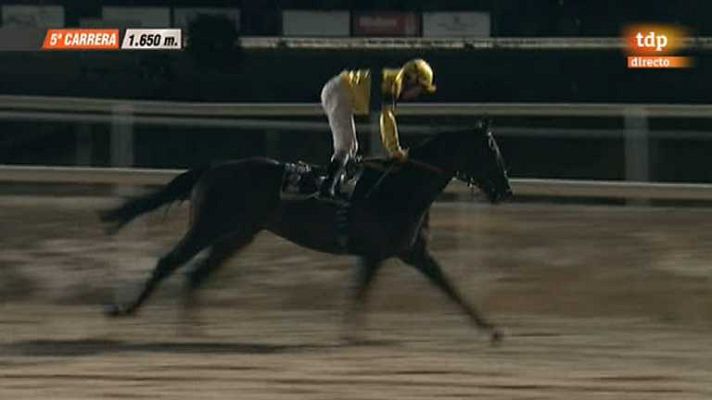 Turf - Turf - 28/08/14