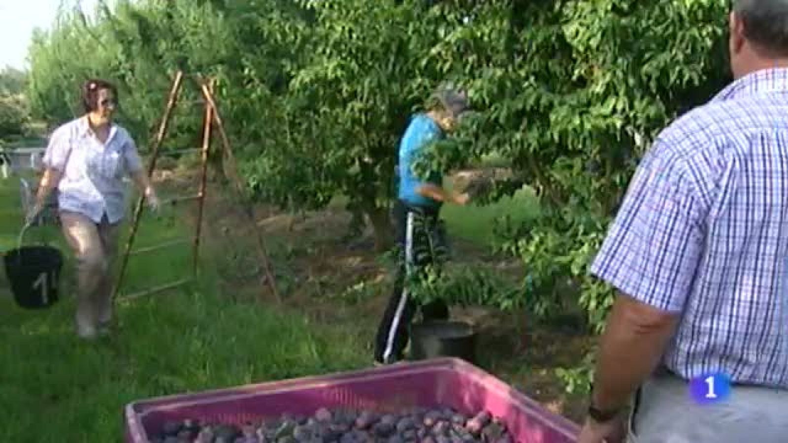 Extremadura en 2' - 29/08/14 | Ver