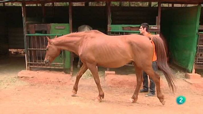 España en comunidad - España en Comunidad - 30/08/14