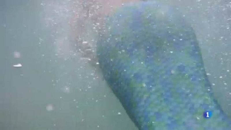 Obre a Tarragona la primera acadèmia de sirenes d'Europa