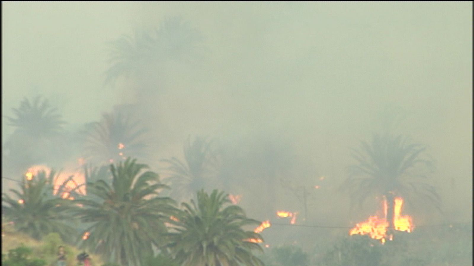 Telecanarias - 01/09/14 | Ver