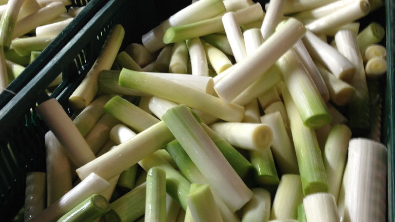 Mitos a desmontar sobre nuestro amigo el puerro