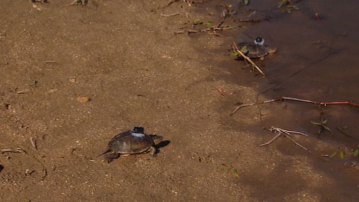 Informativo de Madrid - Informativo de Madrid 2 - 02/09/14