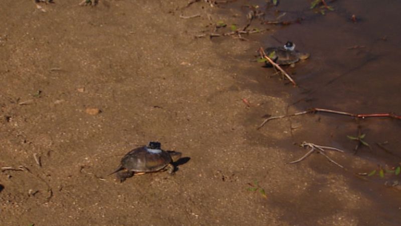 Informativo de Madrid 2 - 02/09/14