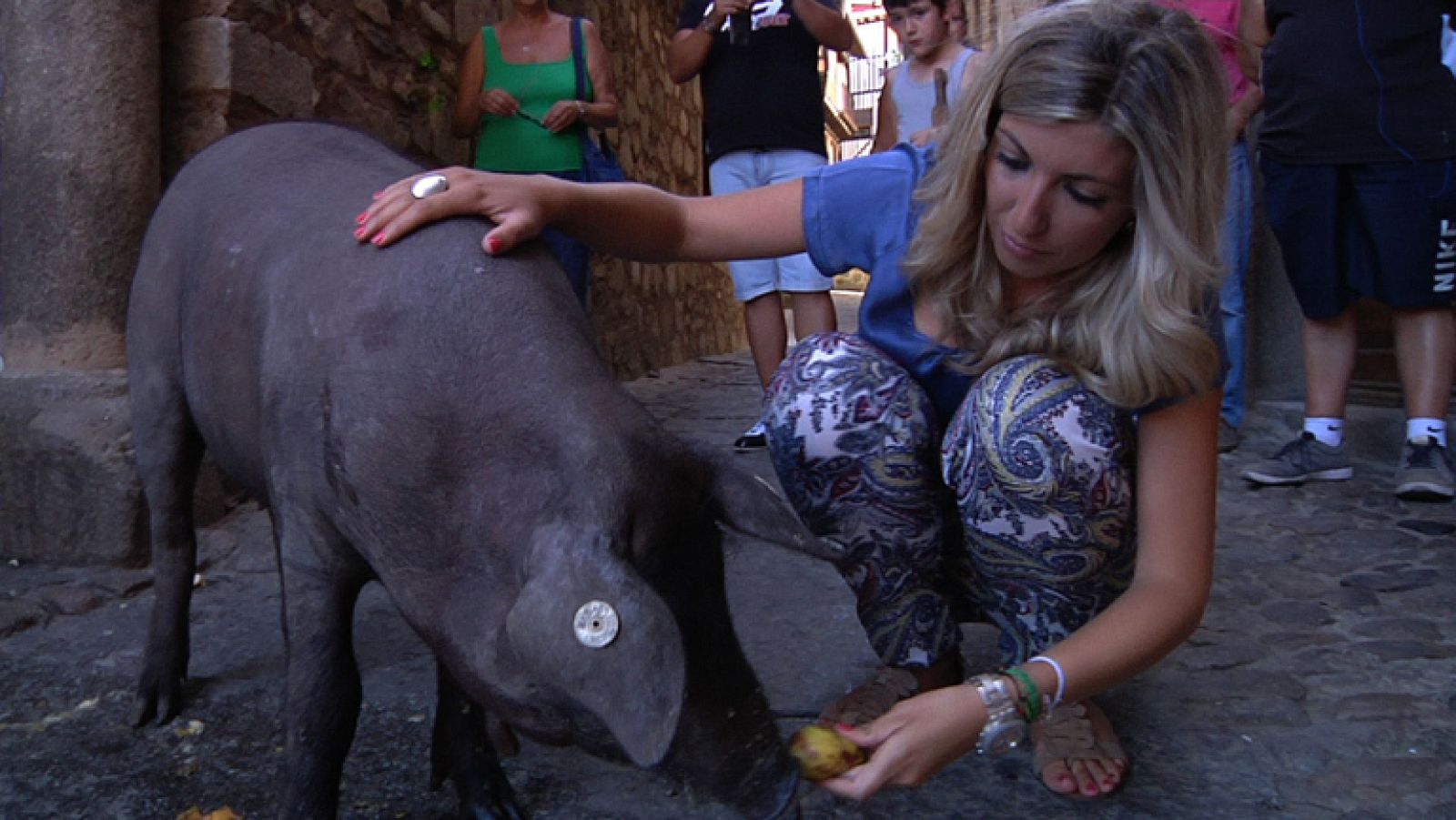 Un cerdo muy suertudo