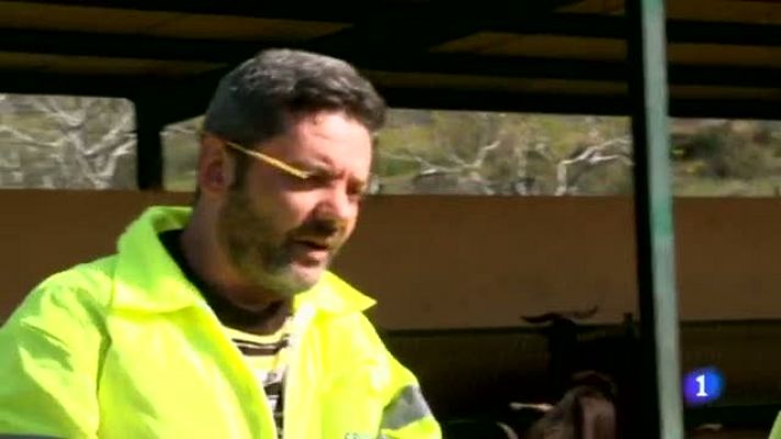 El pueblo más divertido - Candeleda y su 'In the NAVY'