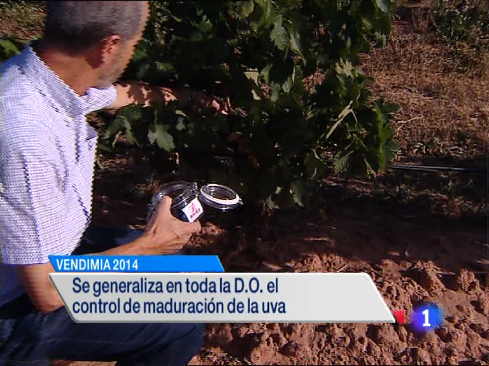 Informativo Telerioja - 03/09/14 | Ver