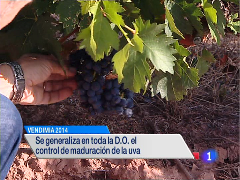 Informativo Telerioja 2 - 03/09/14 | Ver