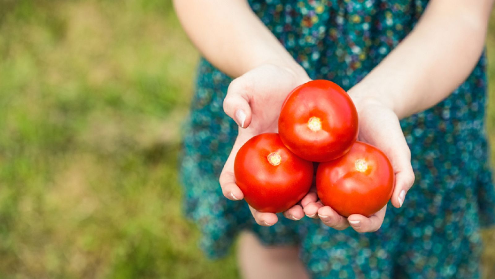 El tesoro del tomate encontrado en un sobre