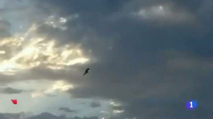 Telediario 1 - Mueren cuatro niños al estrellarse un avión militar en Libia