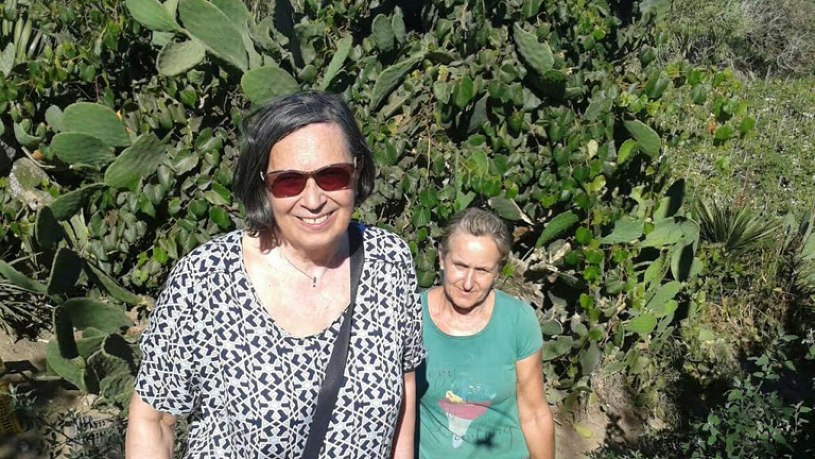 ¿Un huerto en el mar? Sí señor, en Sanlúcar.