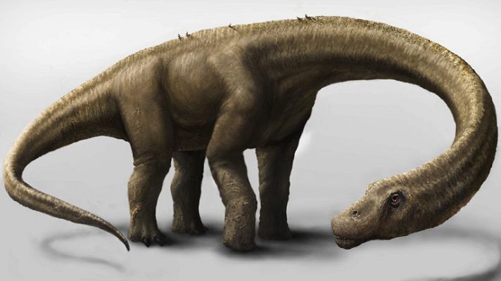 Informativo 24h - Descubren en la Patagonia el dinosaurio terrestre más grande encontrado hasta ahora