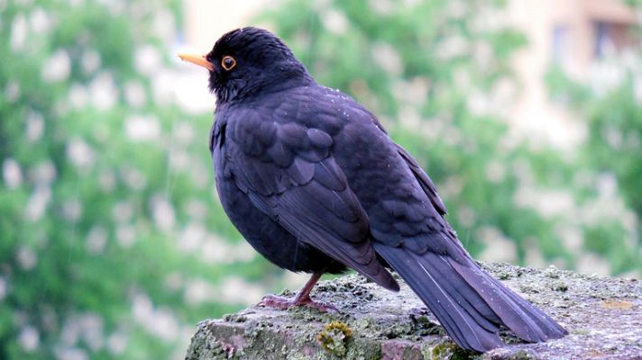 Informativo de Madrid - El Tiempo en la Comunidad de Madrid - 08/09/14