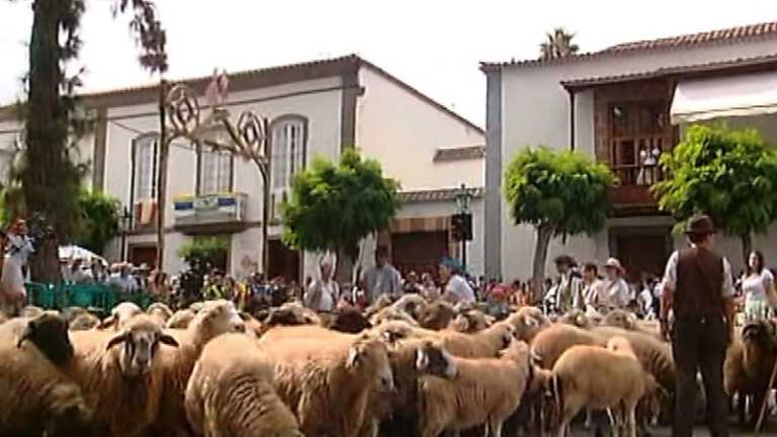 España en 24 horas - 08/09/14 - Ver ahora