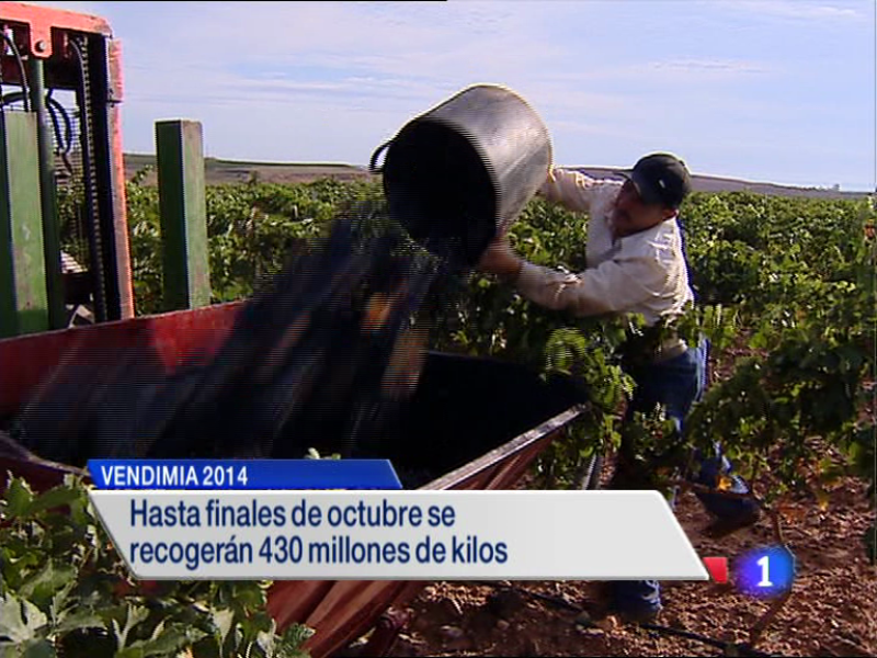 Telerioja en 2' - 09/09/14 | Ver