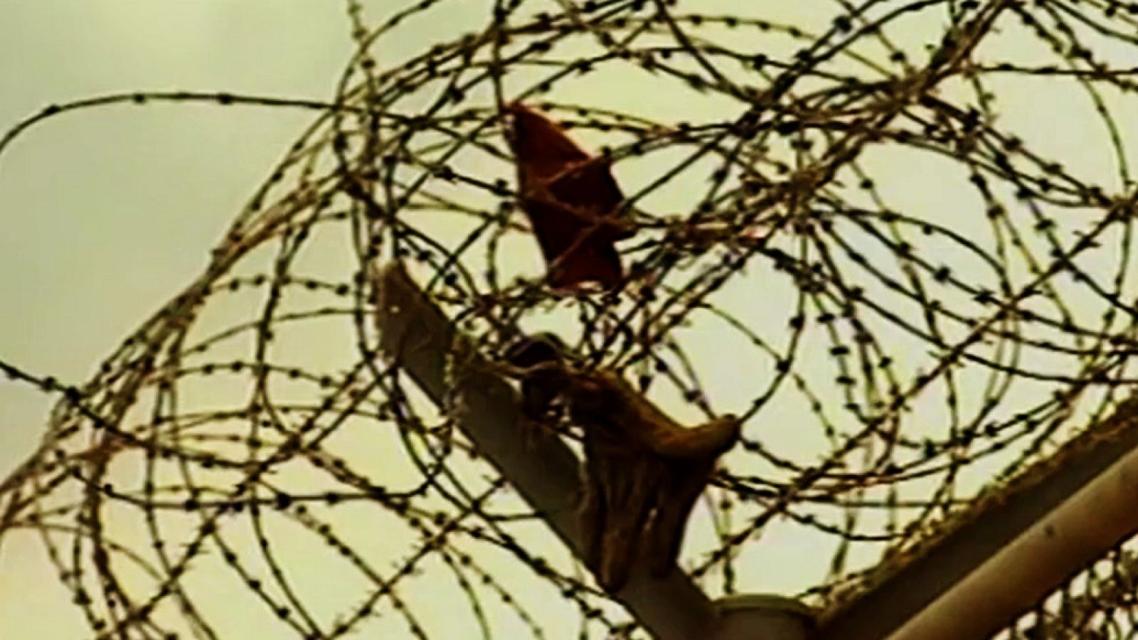 Voces contra la globalización 2 - La estrategia de Simbad - Voces contra la globalización | Ver