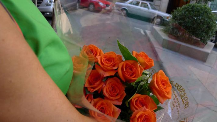 Aquí la Tierra - Plantas preciosas que purifican nuestro ambiente