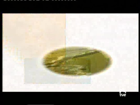 Paraísos cercanos - Paraísos cercanos - Mauricio, convivencia en armonía