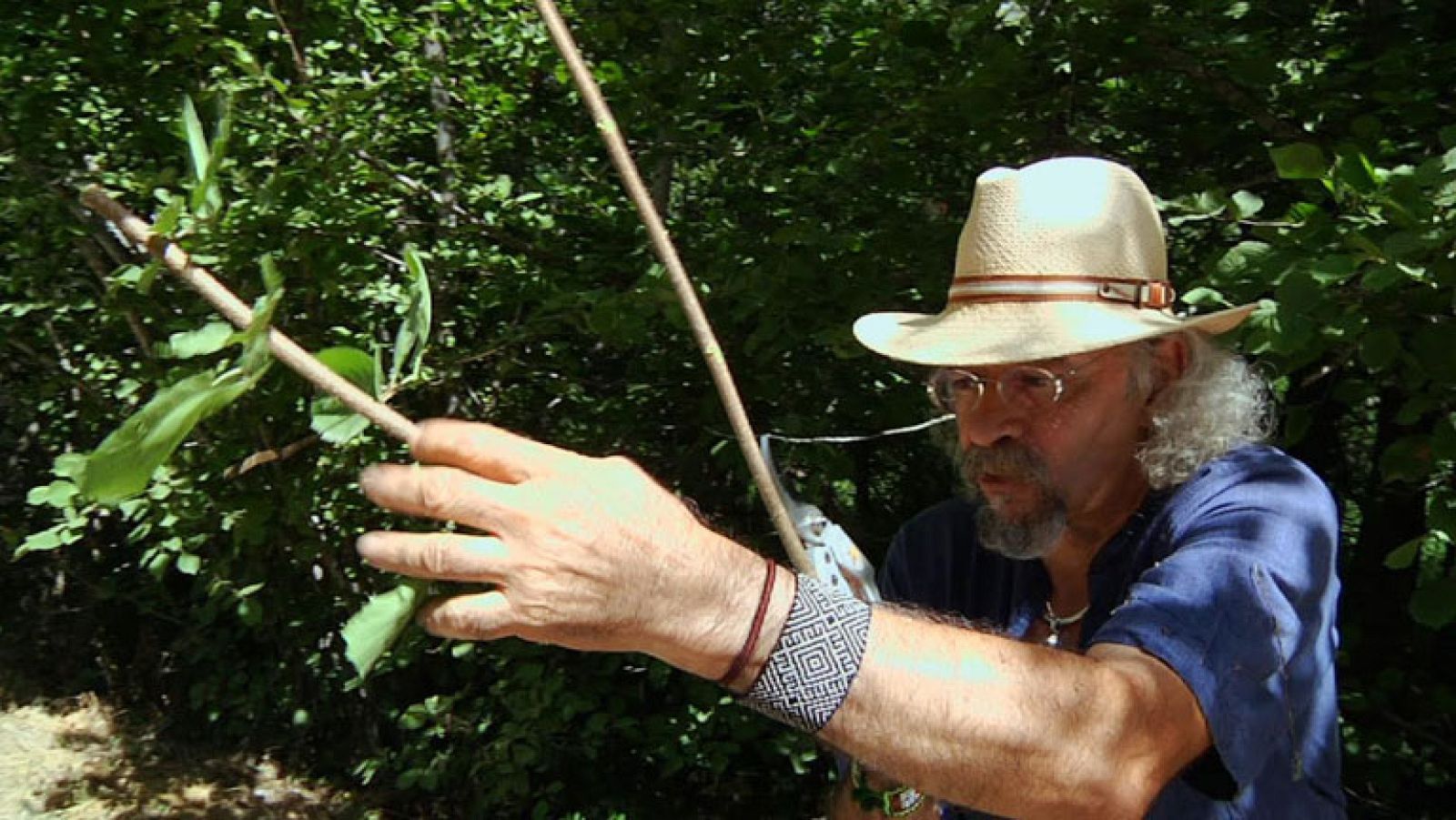 Nueva lección botánica de Juan Plantas